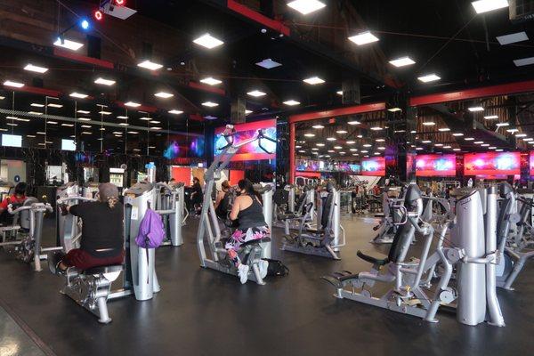 A wide variety of cable, strength, and cardio machines on the workout floor