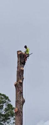 BOOTES Tree Service