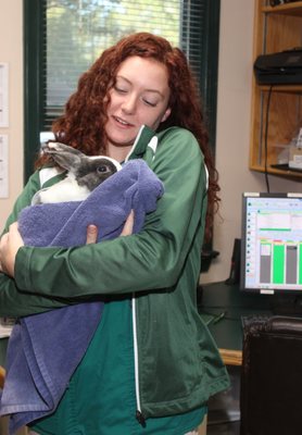 Taking care of a rabbit.