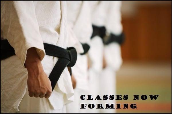 Taekwondo is a Korean unarmed Martial Art. it is not only kicking and punching but a way of thinking and living. "My goal is Black Belt"