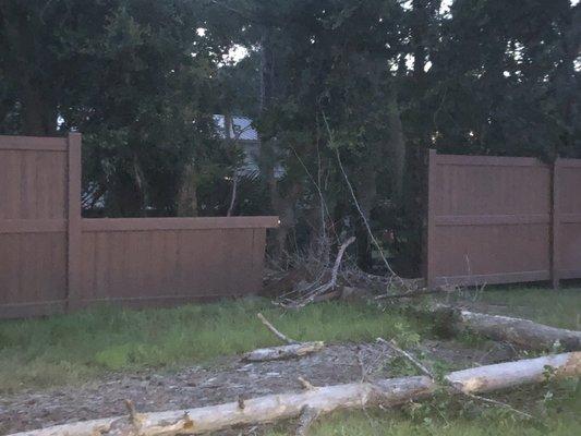 Tree fell over in a storm over  2 weeks ago and smashed through the community gate that backs up to a Black Bear Reserve. Unresolved