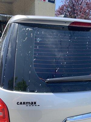 Soapy car after the car wash.