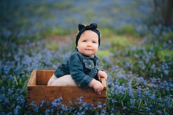 Abigail Joyce Photography | Chicago Baby Photographer