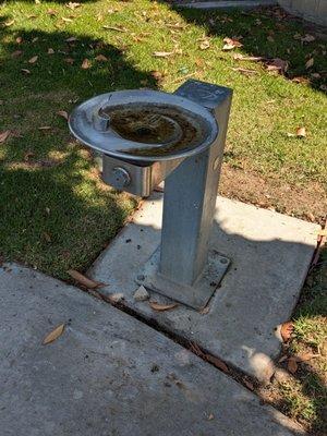 Water fountain