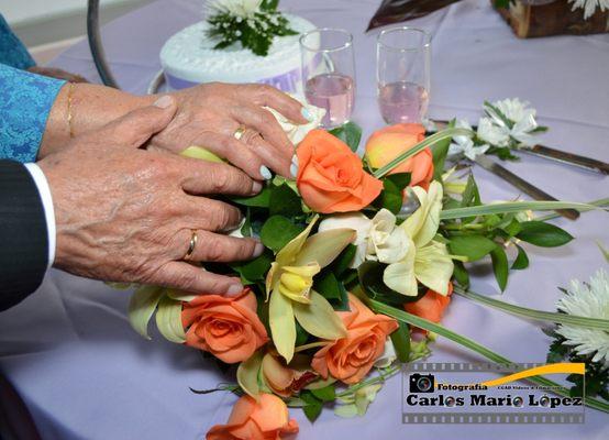 Quinceañera Fotografía