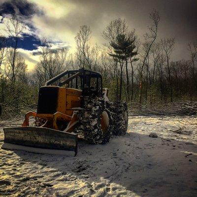 Logging timber harvesting