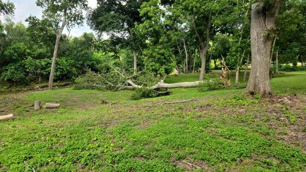 Removing broken trees after storm!