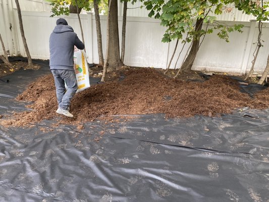 Mulch installation