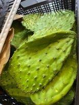 Nopales con espina, cactus