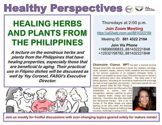 Healthy Perspectives Program