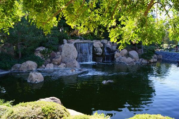 Check out the Japanese Friendship Garden in Phoenix for a very unique experience