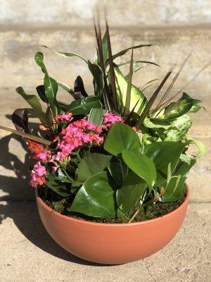 Large Bowl Dishgarden