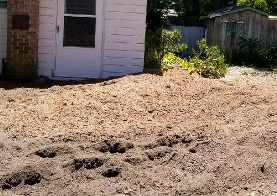 After - Stump Removal