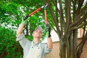 Green Go Tree Service & Landscaping LLC