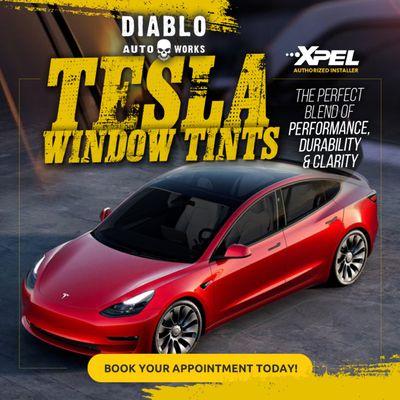 We Specialize in Tesla Window Tints.