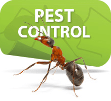 Double C Pest Control