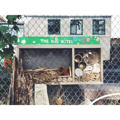 Westside garden's The Bug Hotel