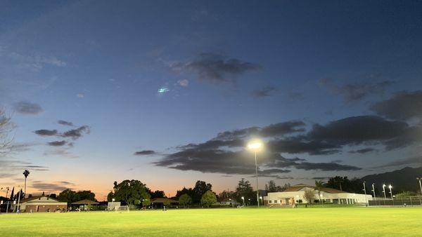 Evening stroll, facing the field.