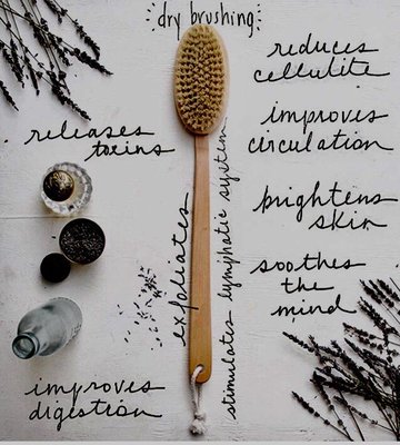 Dry brushing is so good for us! Araya sells synthetic hair brushes. (Animals should keep the hair they grow!)