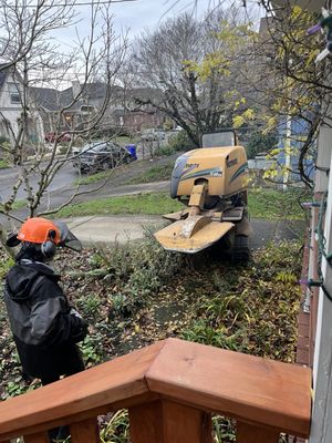 Inexpensive Tree Care