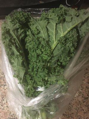 Kale