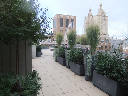 Upper West Side Roof Top