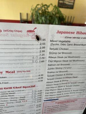 Tokyo Hibachi Grill