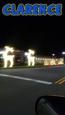 These reindeer were on clearance. I mean Clarence.