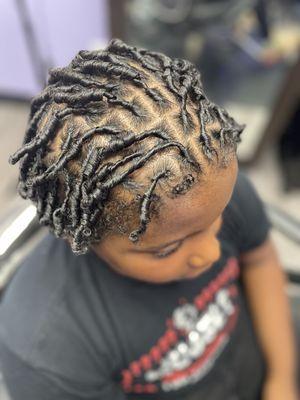 Starter Locs