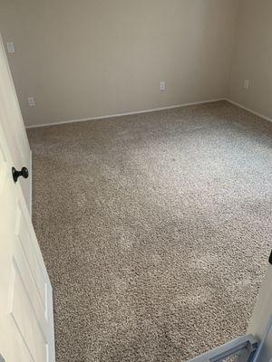 Moonlight Carpet Cleaning