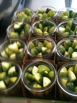 Homemade PICKLES and our own Fresh Salsa and chips