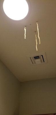 Termite Tubes in ceiling