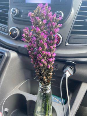 A little piece of our flowers from Chloe made the trip home with us driving across country