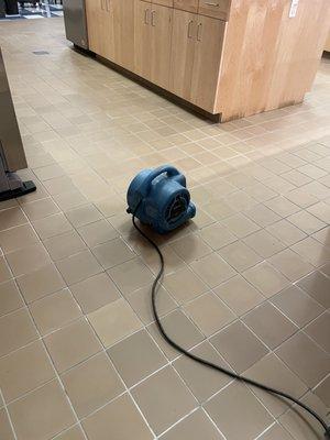 Grout cleaning