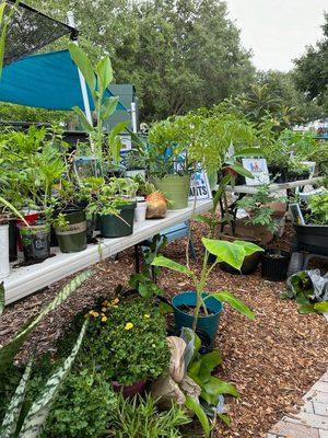 Stop by the plant corral for that plant that you can't live without. All donations go towards the sustainability of the Garden.