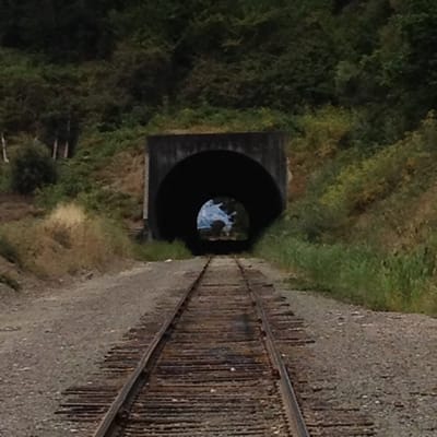 Railroad track and tunnel next to the "Plunge".