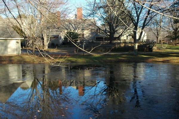 Pond in the fall