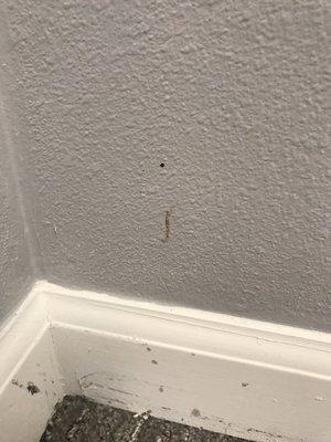 Blood left on the wall with scraped up new baseboard