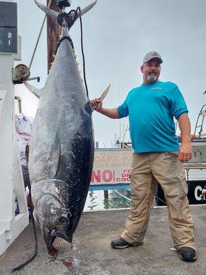 700lb Blue Fin Tuna