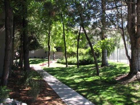 Wooded Walkway