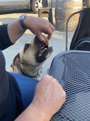 Nico samples food truck fare.