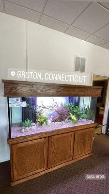 Groton location aquarium for sale