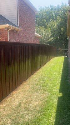 Fence stained in Lantana Tx