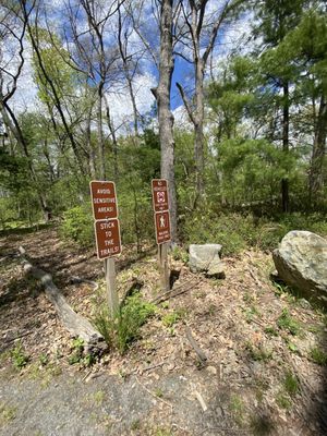 Aberjona Nature Trail