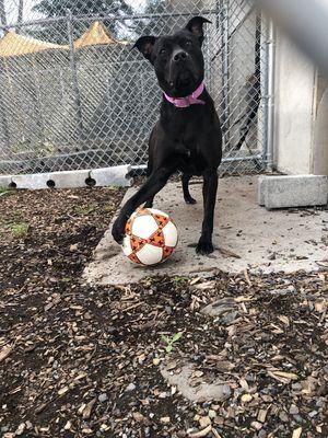 Wanna play ball anyone?