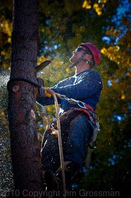 Wood River Tree Service