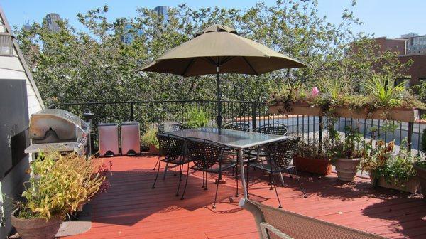 Shared roof deck with gas grill