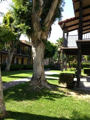 One of the walk ways at Casa Madrid