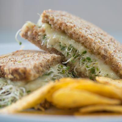 Cheese and Sprouts Sandwhich