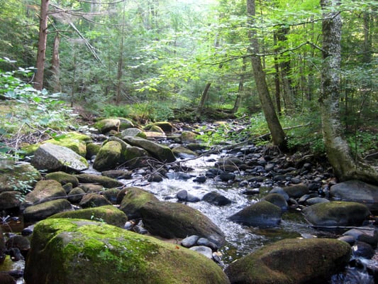 River from the lower hiking trail.